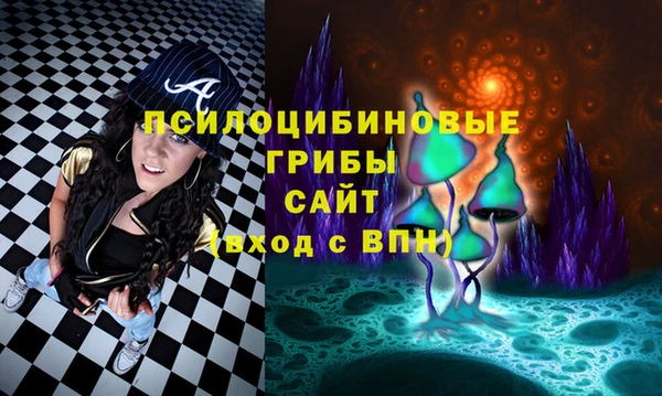 ALPHA PVP Рославль