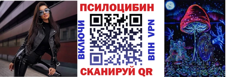 где найти   Сретенск  Галлюциногенные грибы Cubensis 